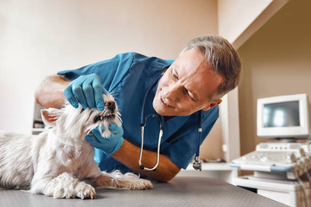 Best Dentist for Tooth Abscess  in Mount Sterling, OH